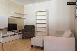 1-bedroom-apartment-rent-erzsebetvaros-eec51749db62ff8b78fb7c8ab