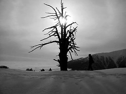 Κωνσταντίνος Βουλγαρίδης