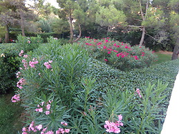 Jean Philippe Kadjomou 