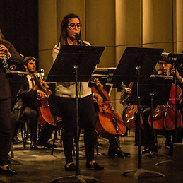 Macarena Villarroel Cuellar