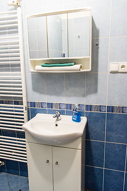 Big and comfortable room 5 mins from VSE university