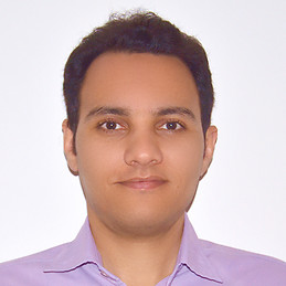 Mohammad Hossein Nateq