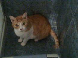 Andrea Sánchez Bernet