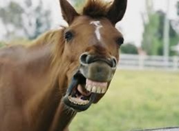 Pedro García Alcaraz