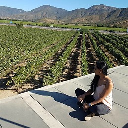 Andrea Rebolledo Pozo