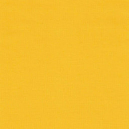 Анна Копейко