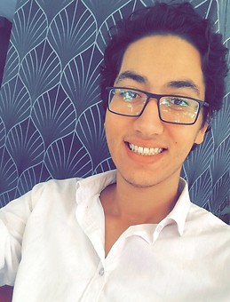 Mehdi Dbich