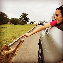 Leticia Pérez Sánchez