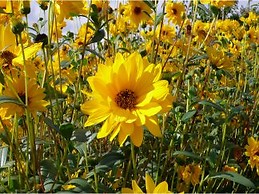 Enrique Garrido Martinez