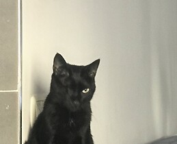 Víctor de Cifuentes