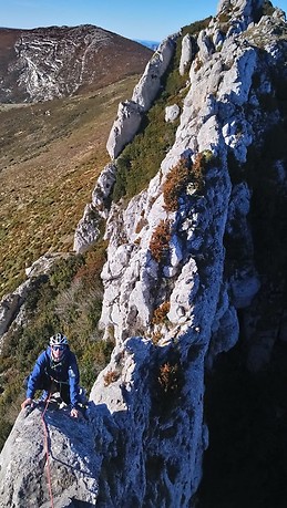 jesús larrea sáenz