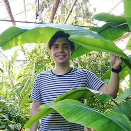 Iulian Dobrogeanu