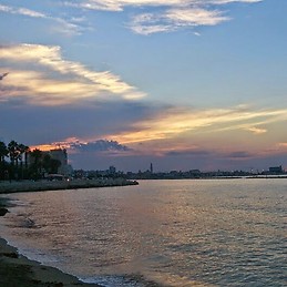 Mariateresa Gallicchio