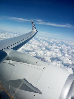 Rossella Zaccariello