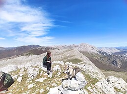 Alba FERNANDEZ ROMAN