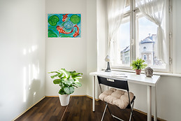 Fully renovated 2 rooms apartment in very central Budapest