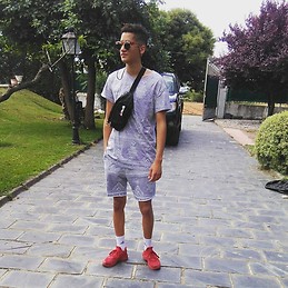Elvio