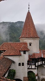 Judith van Veldhuizen