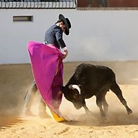 Jose Manuel Ortiz Arevalo