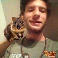 Lorenzo Cattel