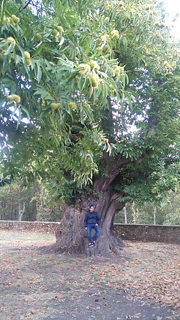 Manuel García Fraile