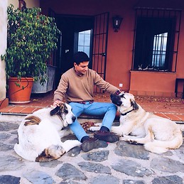 Jose Maqueda Domínguez