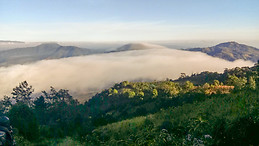 GUILLERMO ARISTIDES ORELLANA AGUIRRE