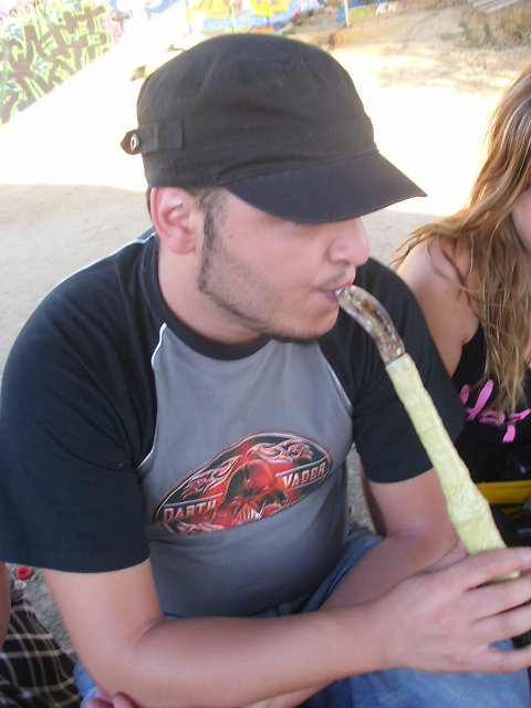 Javier Vergara