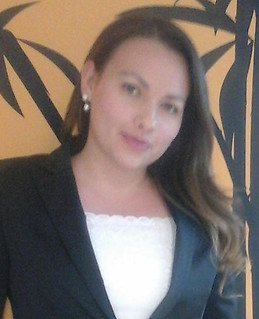 DIANA MONTENEGRO CASTRO