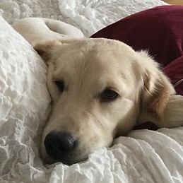 Pırıl KÜÇÜKERSAN