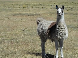 José Antonio Arnal Soriano