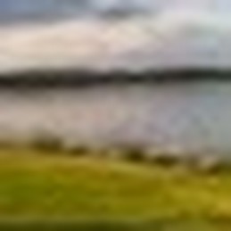 Sylvester Batsirai Madondo