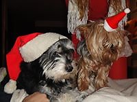 Maria del Pilar Fernandez Martin