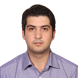 Amir hossein Banisadr