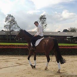 Jose Alejandro Pulido