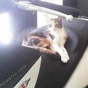 Daniel Castro Robles