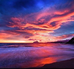 Rocio  Harriero Montesinos