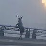Омина Абдужабборова