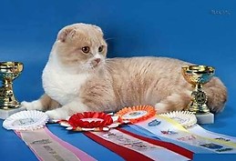 Демидов Николай