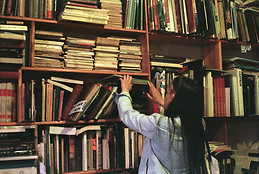 LAURA FERNANDA FLOREZ VELANDIA