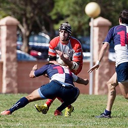 Gonzalo Medina Medina