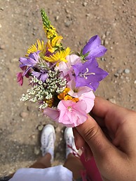 Isabela Calvo davila