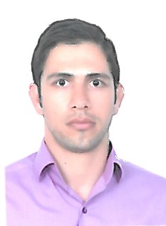 hamed rezaei