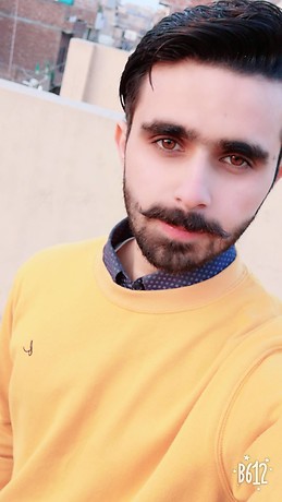 Malik Awan