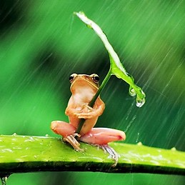 ruben soria martinez