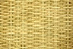 Mohamed Bassirou Cisse