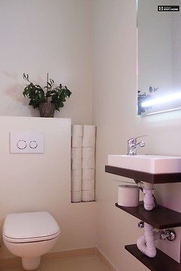 3-bedroom-apartment-large-terrace-rent-obuda-bekasmegyer-07b59b5