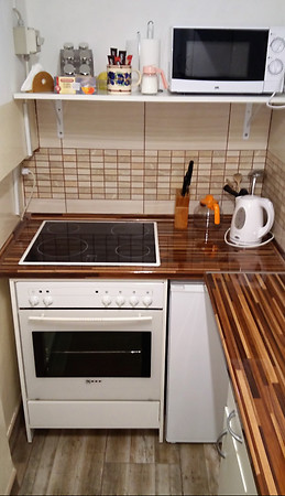 Flat for rent from immediately to end of May in I. district clos