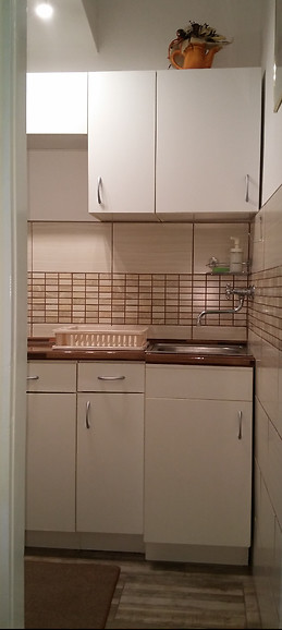 Flat for rent from immediately to end of May in I. district clos