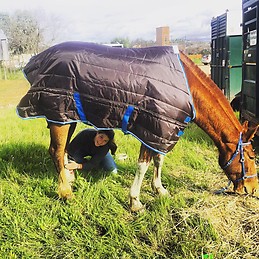 Natalia Carrillo Medina